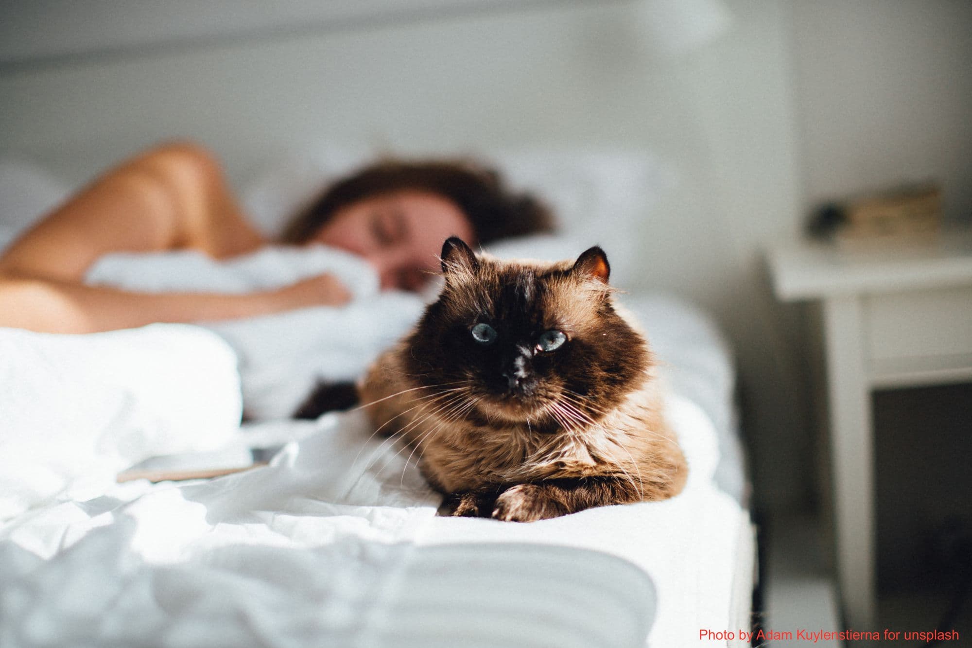 Sleeping Your Way To Better Health